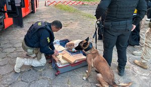 PRF apreende 31 kg de maconha dentro de ônibus em São Sebastião