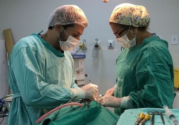 Mutirão de Cirurgias vai ampliar tipos de procedimentos em AL
