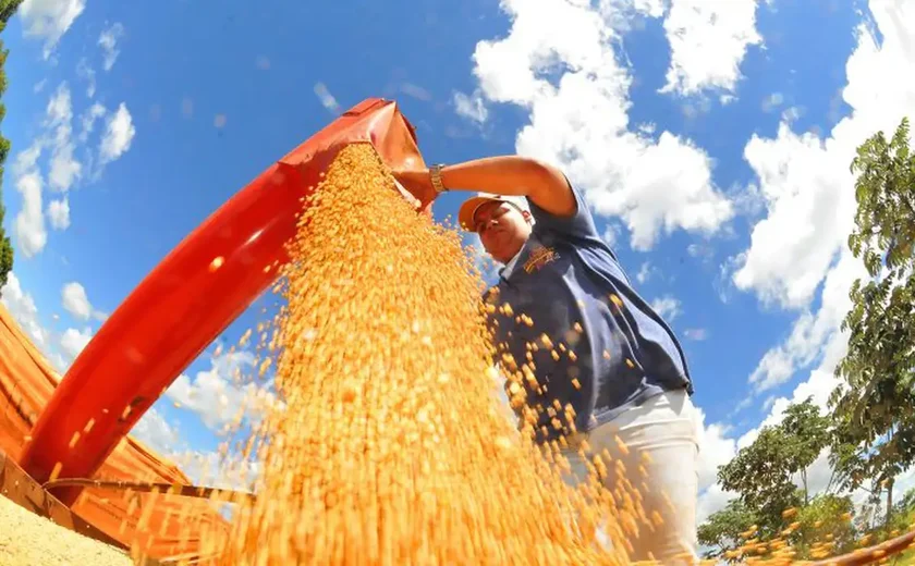 Agropecuária ajudou oito estados a crescerem mais que o Brasil em 2023