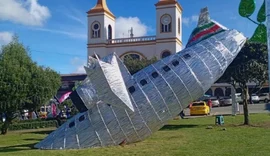 Cidade colombiana 'homenageia' Chapecoense com réplica de avião de tragédia