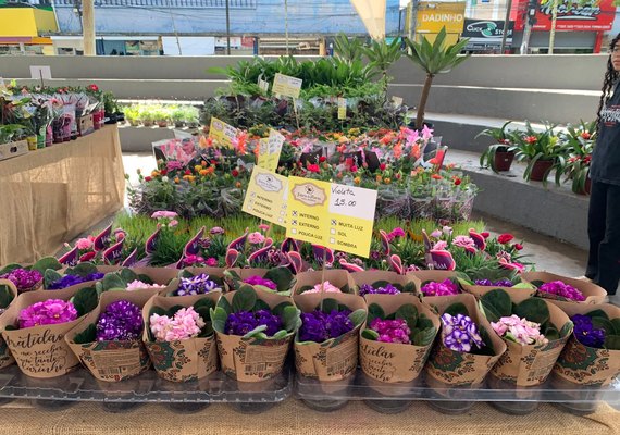 Feira de Flores Holambra chega a Arapiraca com mais de 200 espécies e plantas a partir de R$ 5
