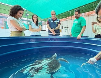 MPF participa de discussão sobre protocolo para atendimento a encalhes de mamíferos marinhos em Alagoas