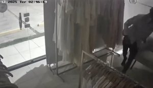 Vídeo: Polícia Civil prende dois homens suspeitos de roubos, tráfico e danos ao patrimônio público na Pajuçara