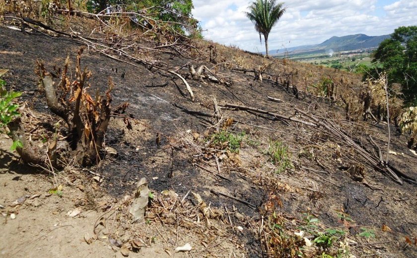Novo relatório do IMA aponta 516 focos de queimadas em Alagoas em duas semanas