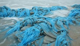 IMA identifica que material encontrado em praia é formado por sacolas plásticas