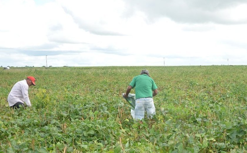 Lista negra: Prefeitura de Arapiraca não paga débito de mais de mil agricultores
