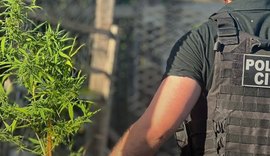 Polícia Civil deflagra operação e prende quatro suspeitos ligados ao tráfico em Penedo