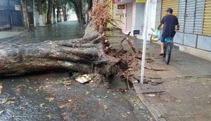 Em dois dias, fortes chuvas provocam estragos em Maceió