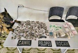 PM apreende 38 armas de fogo e mais de 665 Kg de drogas na última semana em Alagoas