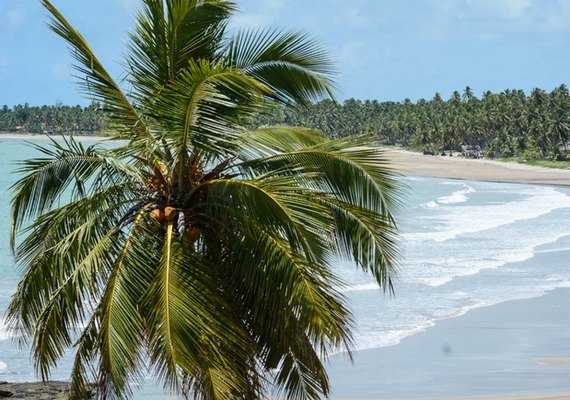 'A gente não tem mais orla, a gente tem ponto de visita': a Rota dos Milagres e a espoliação silenciosa no litoral norte de Alagoas
