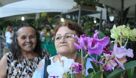 Mais de 100 espécies de orquídeas e bromélias em exposição