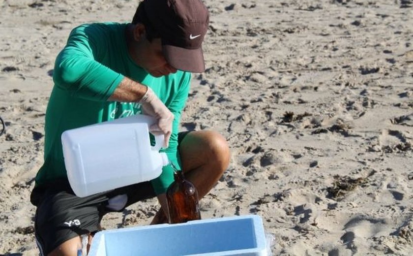 Amostras de diferentes trechos de praias de Alagoas indicam águas livres de contaminação