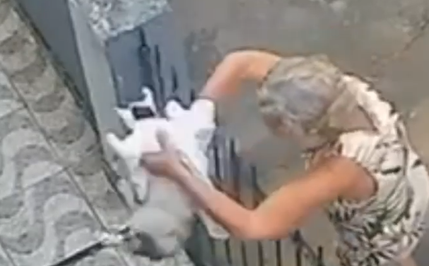 Polícia Civil tenta identificar senhora que abandonou gato em uma casa no Vergel