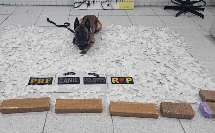 Operação intercepta em Canapi carga de drogas avaliada em R$ 500 mil em van vinda de São Paulo