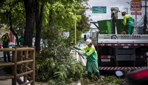 Prefeitura de Maceió orienta como solicitar poda e supressão de árvores