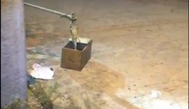 Bombeiros são acionados para resgatar filhote de jacaré que estava em terreno de condomínio