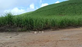 Corpo esquartejado é encontrado em estrada vicinal na região Norte de Alagoas