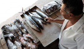 Sesau orienta cuidados na compra e conservação de pescado