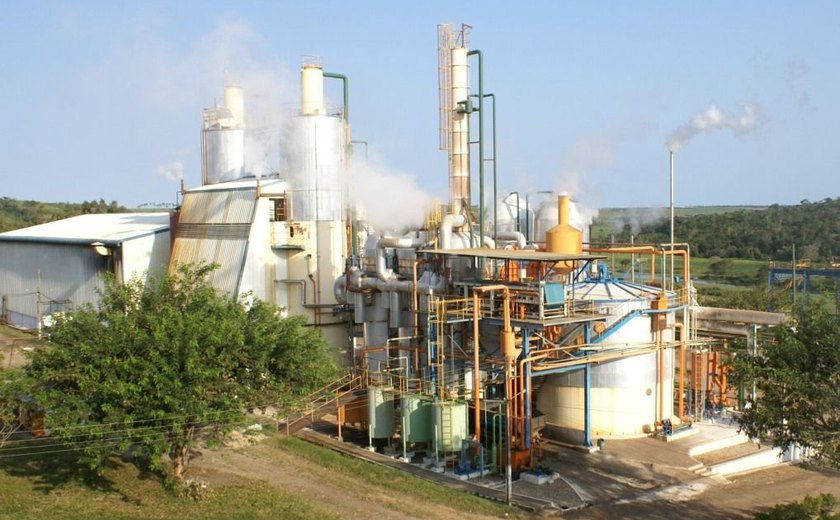 Usina Pindorama aposta na produção de etanol