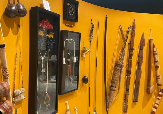 Uneal amplia acesso à cultura popular com catálogo eletrônico de museus
