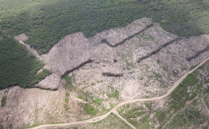 FPI embarga 1.025 hectares de terra em Alagoas por desmatamento de vegetação nativa