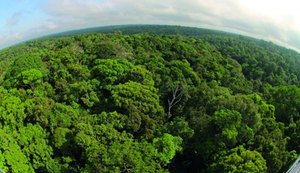 OCB reforça aplicação do Código Florestal para todo território brasileiro