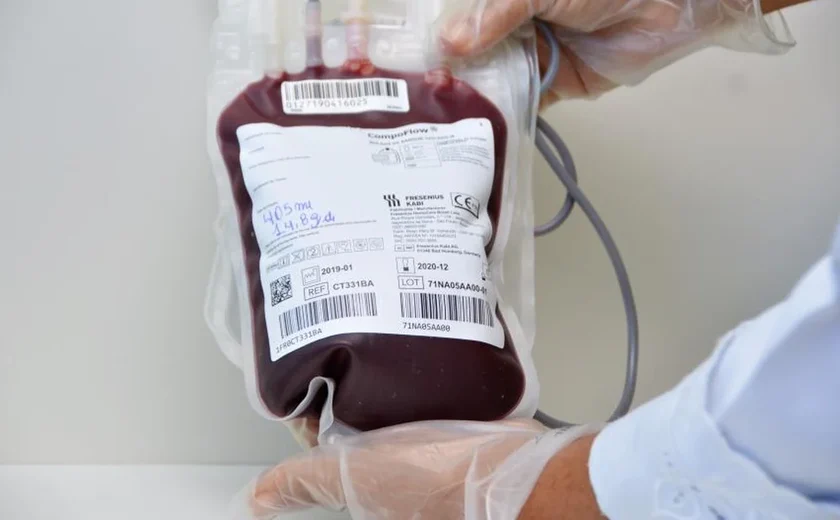Hemoal volta a operar com estoque crítico e faz apelo por doadores em Alagoas