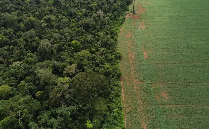 Brasil apresenta soluções de financiamento climático em Nova York