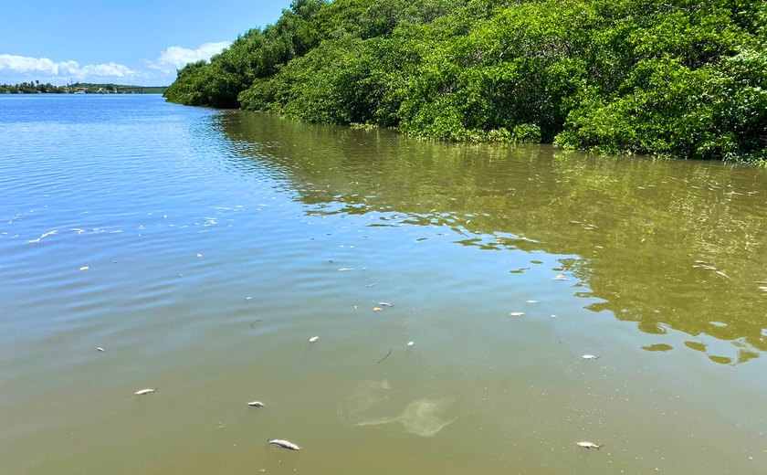 MPF oficia IMA e ICMBio sobre mortandade de peixes na Barra de Santo Antônio