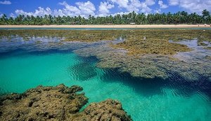 Metade dos brasileiros com intenção de viajar nos próximos meses irá para o Nordeste