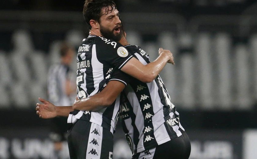 Botafogo vence Avaí e deixa a zona de rebaixamento do Brasileirão