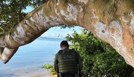 BPA resgata 680 animais e combate crimes ambientais na Operação Biomas