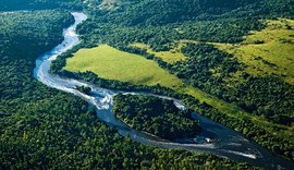 Juiz Federal de Alagoas suspende decreto que extinguiu Reserva Nacional