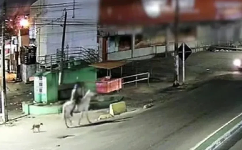 Homem é preso por feminicídio em Igarassu após flagrado com vítima morta em cima de cavalo