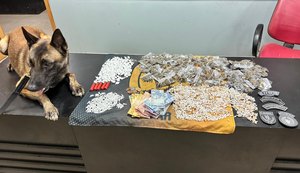 PM/AL contabiliza quase 50 quilos de drogas e 25 armas de fogo apreendidos em uma semana