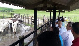 Feira do Gado vira sucesso em Atalaia unindo pecuaristas de Alagoas