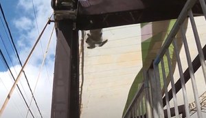 Ministério do Trabalho investiga morte de trabalhador durante montagem de camarote