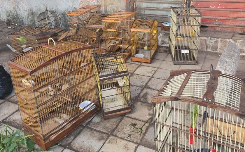 PM-AL combate crimes ambientais, tráfico e porte ilegal de arma na capital e no interior