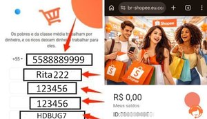 Golpe da falsa renda extra usa nomes de grandes empresas para atrair vítimas