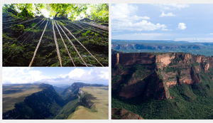 Brasil tem três dos 10 geoparques da América do Sul