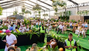 Lixo, plástico e desperdício na virada de ano: eventos repensam práticas para reduzir o impacto ambiental e apostam em ações eco-friendly