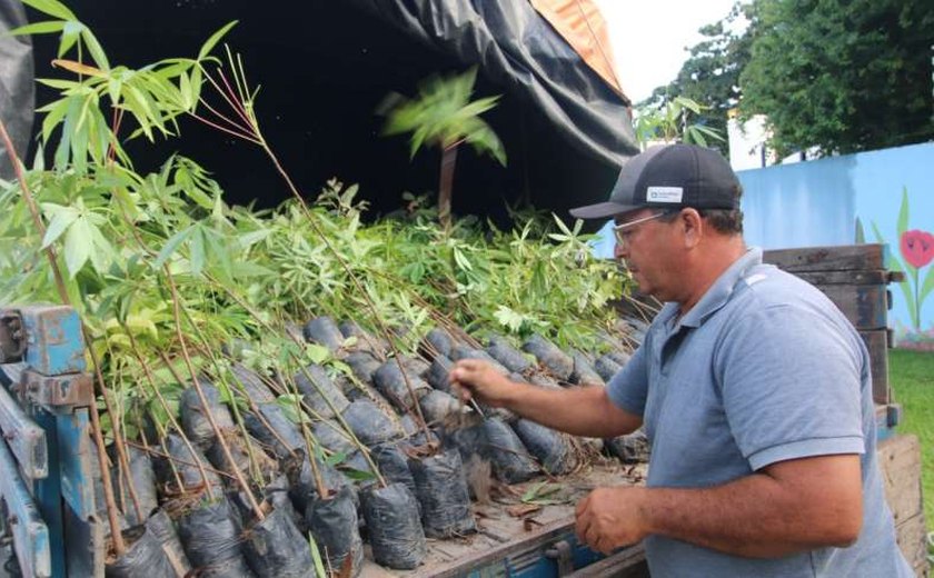 IMA/AL faz doação de 3 mil mudas para Viveiro Municipal de Arapiraca