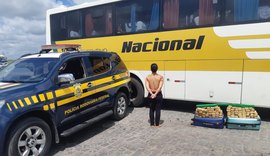 PRF descobre 44 kg de maconha em malas de passageira de ônibus em Rio Largo