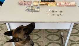 Abordagem com cão da PM em Arapiraca resulta em prisão por tráfico de drogas