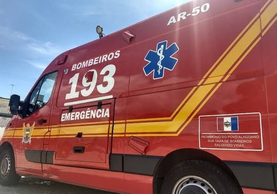 Motociclista fica ferido após colidir com cavalo e cair em ribanceira na BR-101