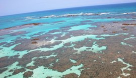 Piscinas naturais de Alagoas aguardam recorde de visitação
