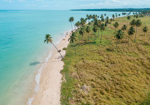 Praia do Patacho, única com certificação Bandeira Azul em AL, registra queda na balneabilidade