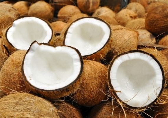 Renan Filho assina decreto que valoriza produção de coco alagoana