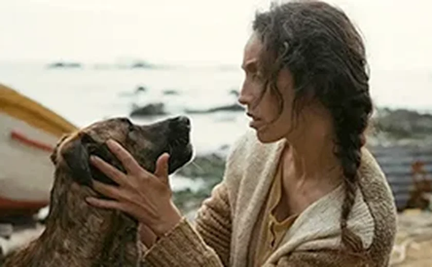 Cadela de filme com Selton Mello ganha prêmio em Cannes por 'melhor atuação canina'