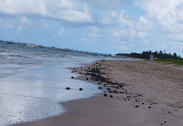 Novas manchas de óleo aparecem em diferentes pontos do litoral alagoano
